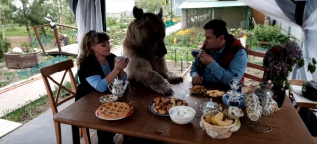 Famiglia russa vive con un orso in casa