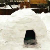 Costruisce un igloo in giardino e lo affitta