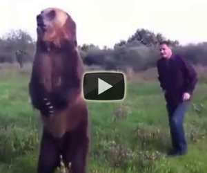 Ecco un incredibile orso domestico